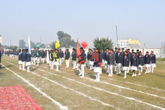 sports7