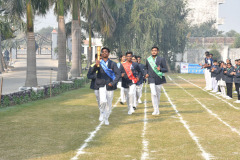 sports8